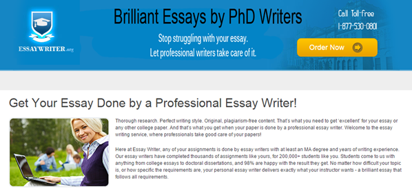 Professional essay writing services review