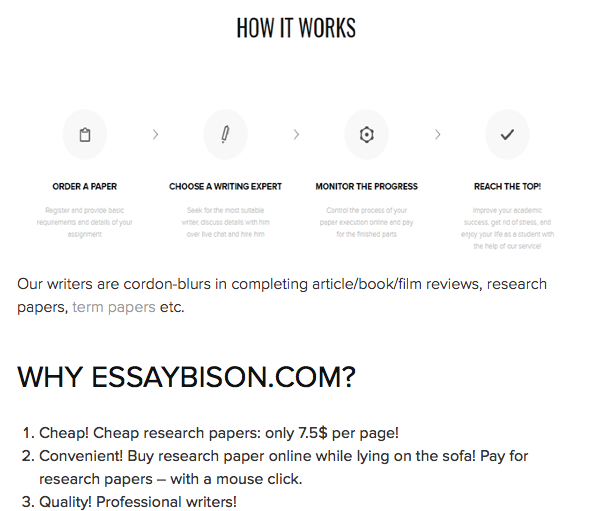 Review about EssayBison Services